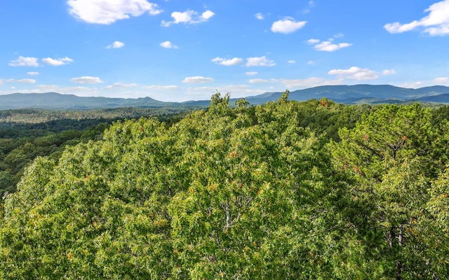 0 Osceola Dr, Lot Ellijay, GA 30540