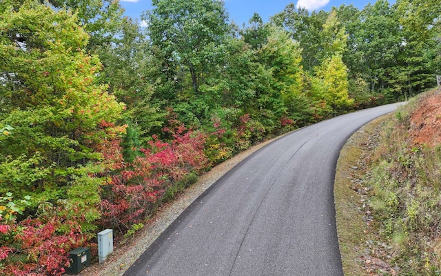 0 Osceola Dr, Lot Ellijay, GA 30540