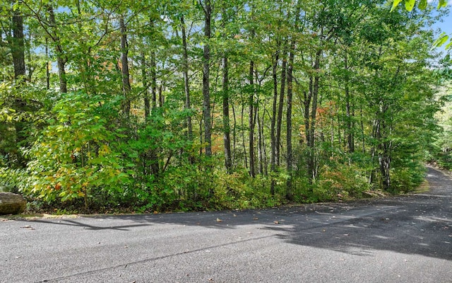 0 Osceola Dr, Lot Ellijay, GA 30540