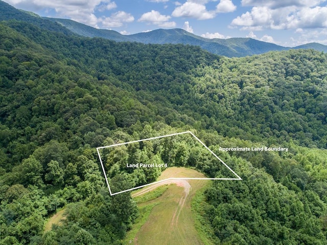 LOT4 Hickory Rdg, Hayesville, NC 28904