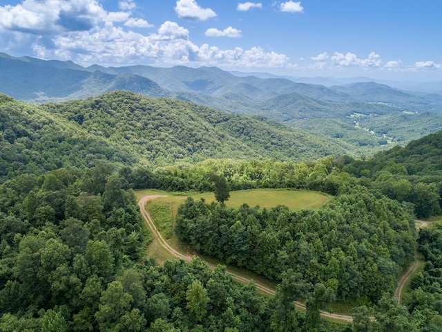 LOT4 Hickory Rdg, Hayesville, NC 28904