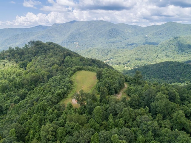 LOT4 Hickory Rdg, Hayesville, NC 28904