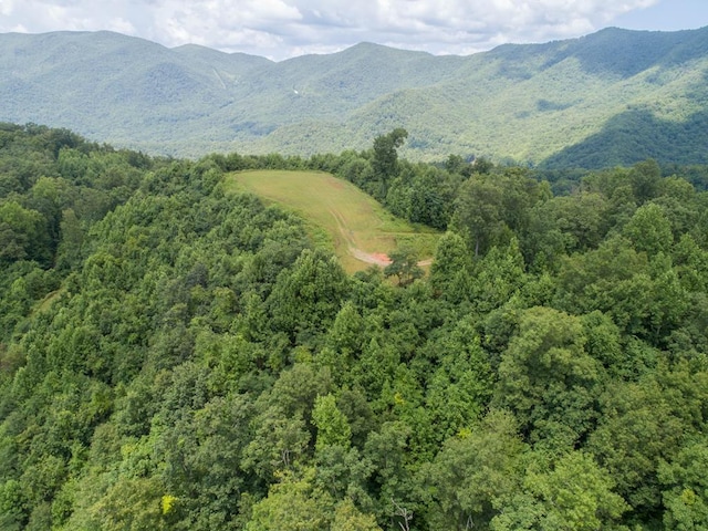 LOT4 Hickory Rdg, Hayesville, NC 28904