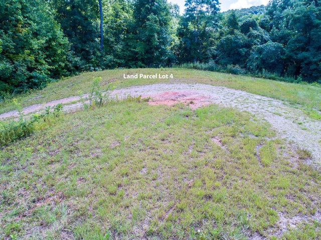 LOT4 Hickory Rdg, Hayesville, NC 28904