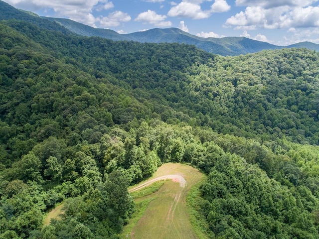 LOT4 Hickory Rdg, Hayesville, NC 28904