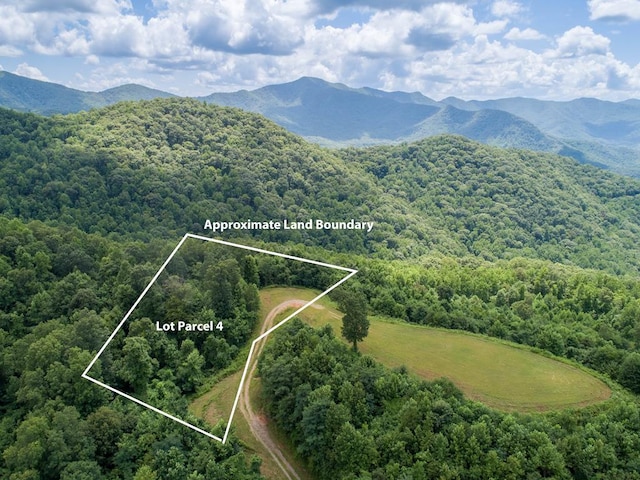 LOT4 Hickory Rdg, Hayesville, NC 28904