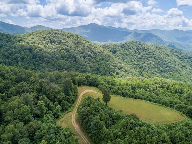 LOT4 Hickory Rdg, Hayesville, NC 28904
