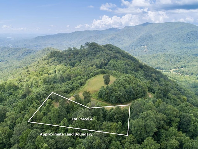 LOT4 Hickory Rdg, Hayesville, NC 28904