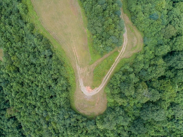 LOT4 Hickory Rdg, Hayesville, NC 28904