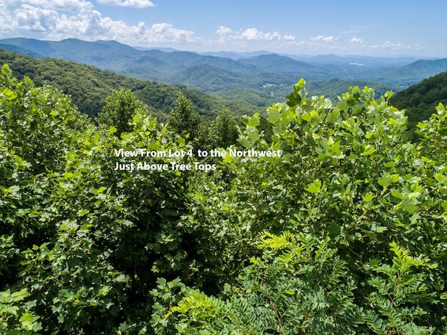 LOT4 Hickory Rdg, Hayesville, NC 28904