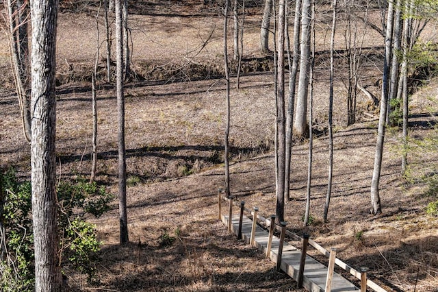 87 Lonesome Dove Path, Blue Ridge, GA 30513 - view of yard