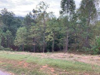 LOT379 Marshall Rise Rd, Blairsville GA, 30512 land for sale