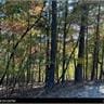 LOT2635 Garnet Dr, Ellijay GA, 30540 land for sale