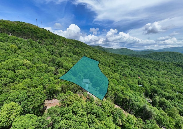 aerial view of a forest and mountains