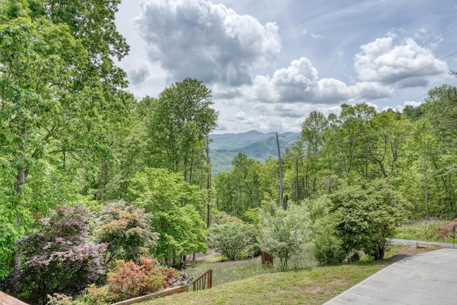 view of home's community with a forest view and a mountain view