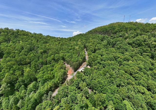 drone / aerial view of a heavily wooded area