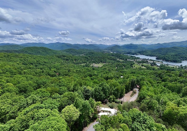 aerial view of a water and mountain view and a heavily wooded area