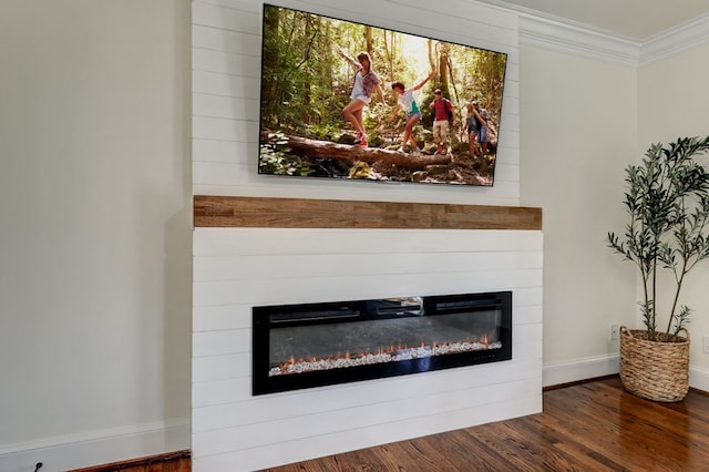 1492 Mcelroy Mountain Dr, Jasper, GA 30143 - detailed view of a glass covered fireplace, wood finished floors, ornamental molding, and baseboards