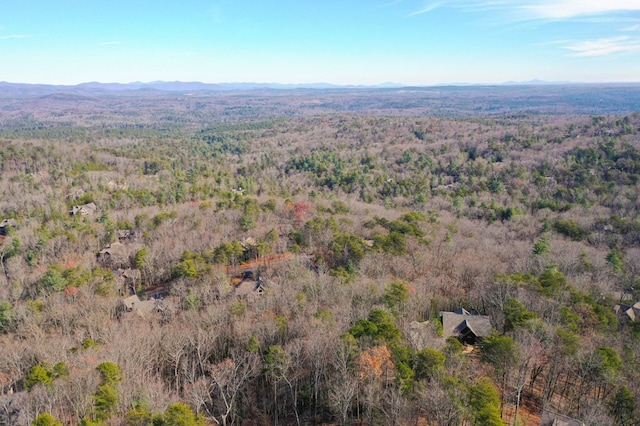 1492 Mcelroy Mountain Dr, Jasper, GA 30143 - aerial view of a heavily wooded area and a mountainous background