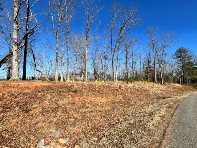 Listing photo 2 for LOT4 High Riv, Ellijay GA 30540