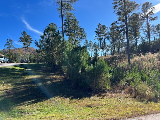 Listing photo 2 for LOT313 The Cv Unit 1300, Blairsville GA 30512