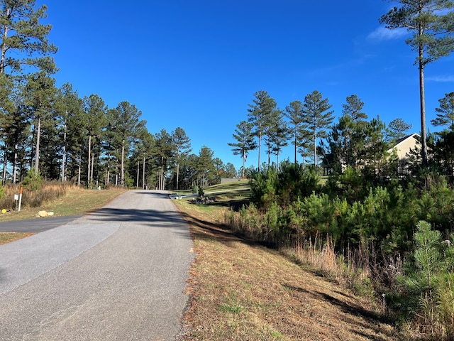 Listing photo 3 for LOT313 The Cv Unit 1300, Blairsville GA 30512