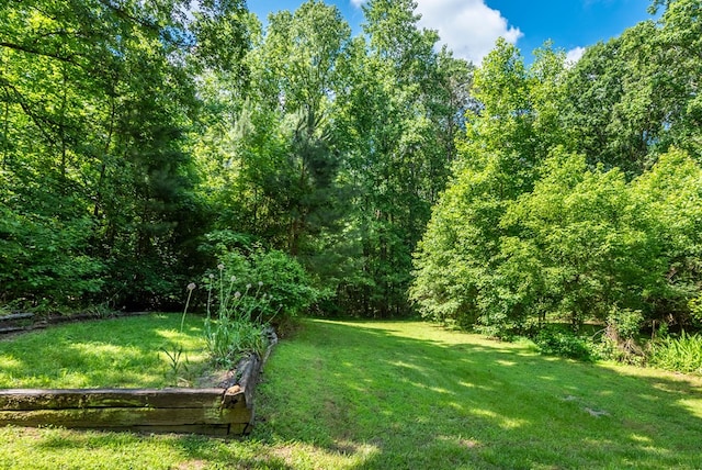 410 N Sharp Mountain Church Ln, Ball Ground, GA 30107 - view of grassy yard featuring a view of trees