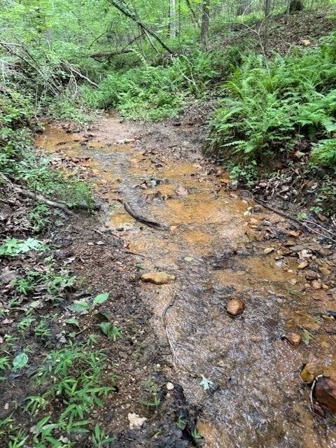 410 N Sharp Mountain Church Ln, Ball Ground, GA 30107 - view of nature