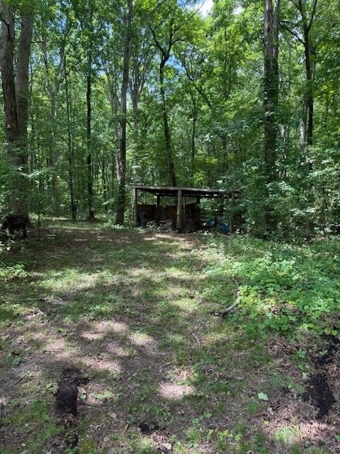 410 N Sharp Mountain Church Ln, Ball Ground, GA 30107 - view of yard with a wooded view