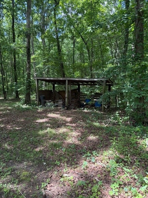 410 N Sharp Mountain Church Ln, Ball Ground, GA 30107 - view of yard featuring a view of trees