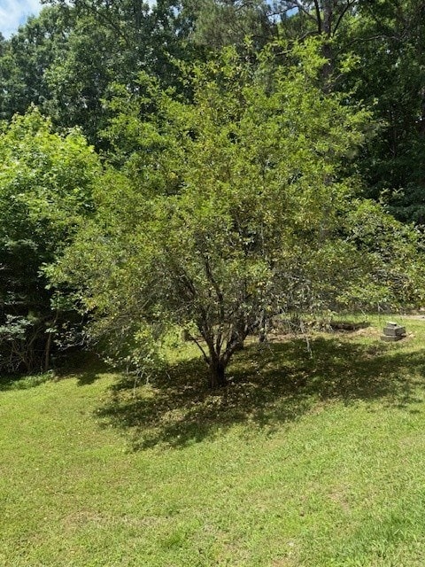 410 N Sharp Mountain Church Ln, Ball Ground, GA 30107 - view of woods