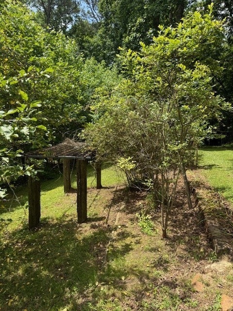 410 N Sharp Mountain Church Ln, Ball Ground, GA 30107 - view of undeveloped land
