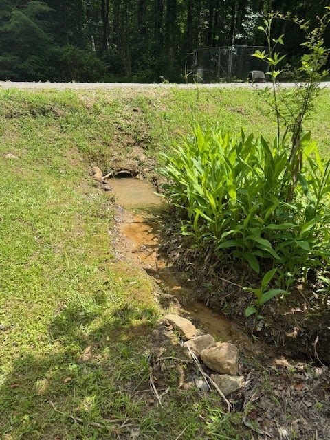 410 N Sharp Mountain Church Ln, Ball Ground, GA 30107 - view of yard
