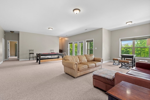 301 Shadow Mountain Rd, Dillard, GA 30537 - living room featuring light colored carpet, baseboards, and french doors