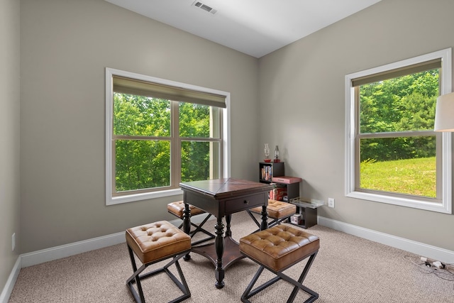 301 Shadow Mountain Rd, Dillard, GA 30537 - home office with healthy amount of natural light, baseboards, and light colored carpet