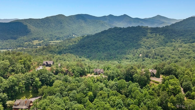 301 Shadow Mountain Rd, Dillard, GA 30537 - view of mountain backdrop featuring a forest