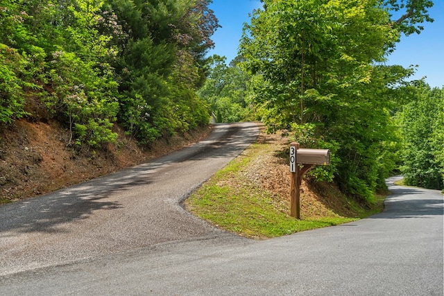 301 Shadow Mountain Rd, Dillard, GA 30537 - view of asphalt street