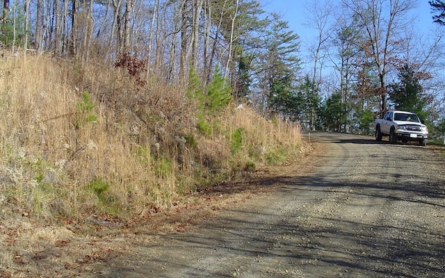 Listing photo 2 for LOT18 Hidden Springs Dr, Brasstown NC 28902