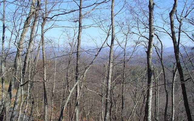 Listing photo 3 for LOT18 Hidden Springs Dr, Brasstown NC 28902