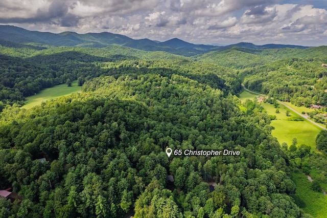 65 Christopher Dr, Ellijay, GA 30540 - aerial view of a heavily wooded area and a mountain backdrop