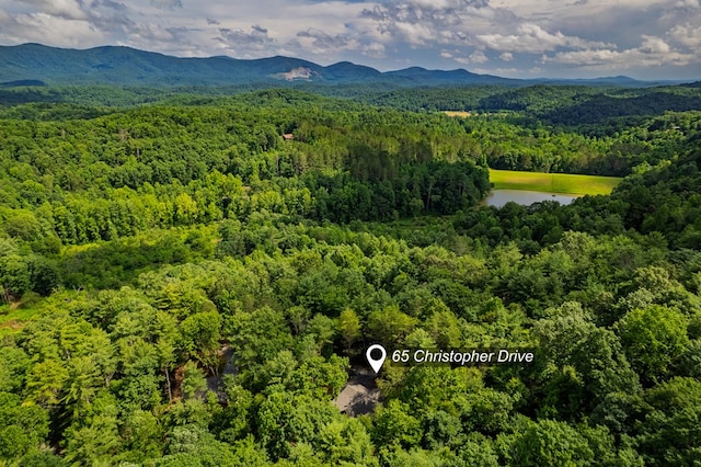65 Christopher Dr, Ellijay, GA 30540 - aerial view of a heavily wooded area and a water and mountain view