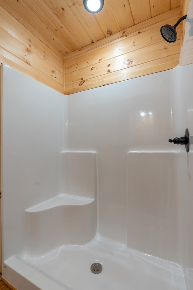 65 Christopher Dr, Ellijay, GA 30540 - full bath with a shower