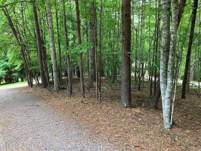 47 Starry Night Path, Murphy, NC 28906 - view of wooded area