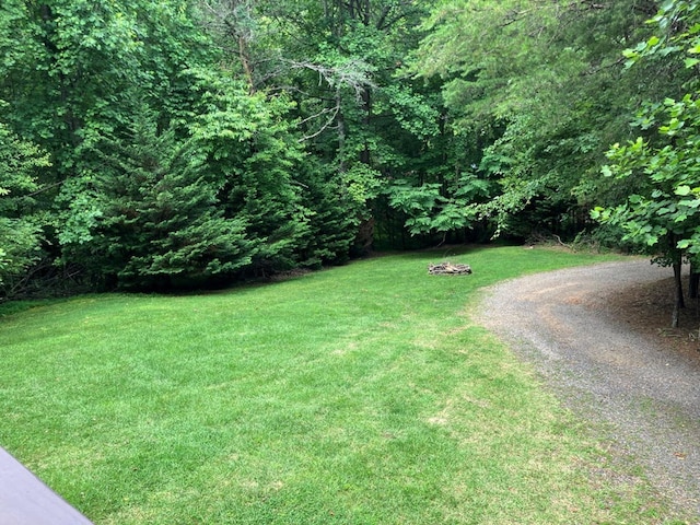 47 Starry Night Path, Murphy, NC 28906 - view of grassy yard with gravel driveway