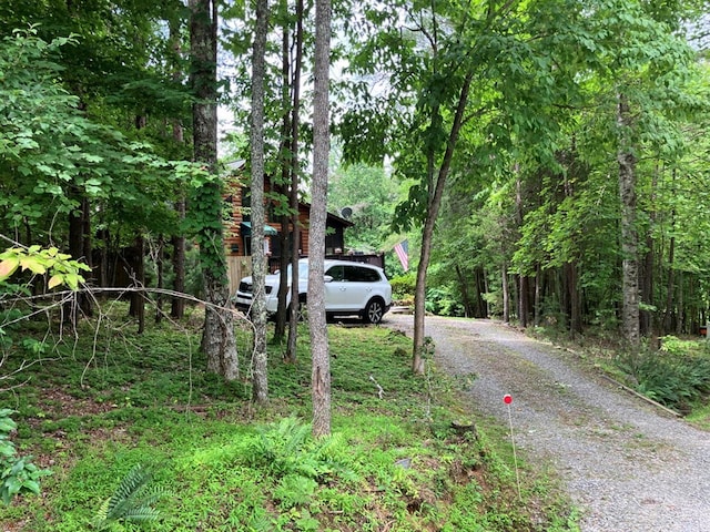 47 Starry Night Path, Murphy, NC 28906 - view of street featuring a forest view