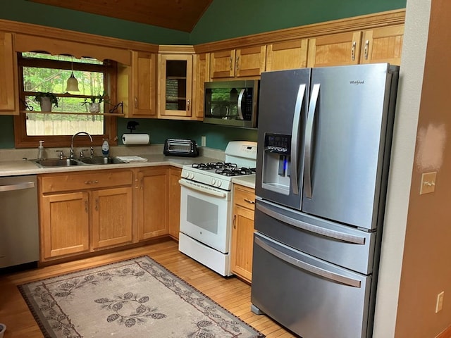 47 Starry Night Path, Murphy, NC 28906 - kitchen with stainless steel appliances, vaulted ceiling, light wood-style floors, light countertops, and glass insert cabinets