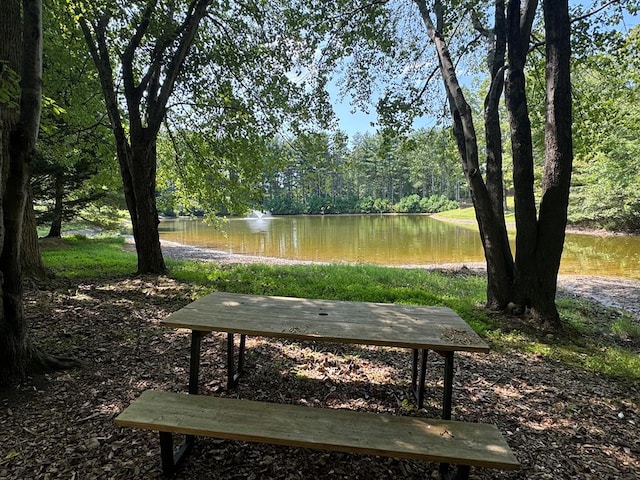 view of property's community with a water view