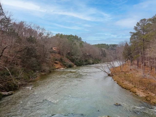 water view featuring a view of trees