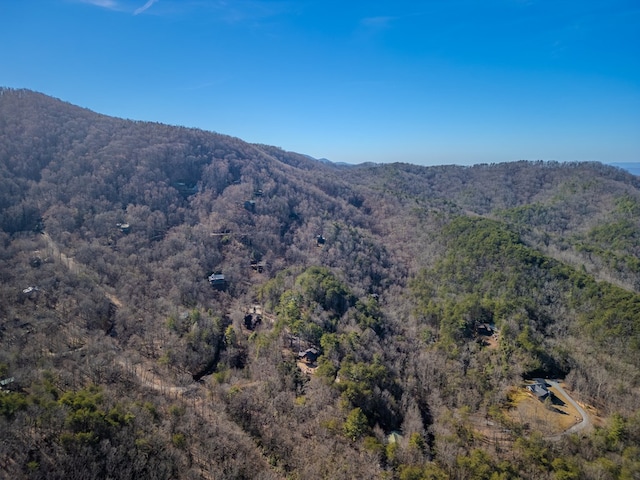 property view of mountains