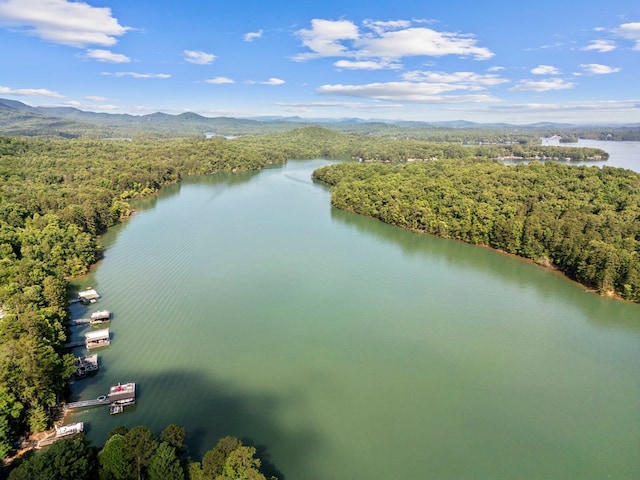 bird's eye view featuring a water and mountain view